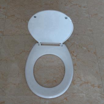 urea toilet seat cover mould
